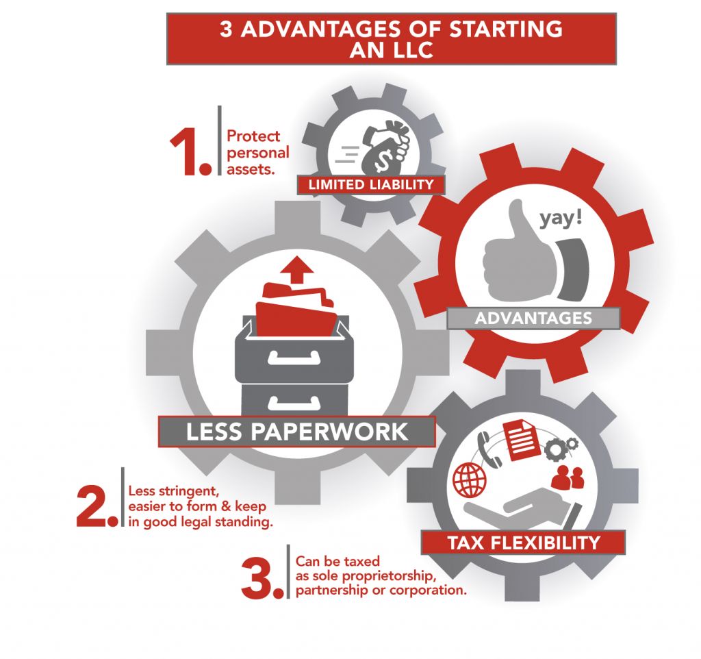 LLC Benefits for a Web Development Firm