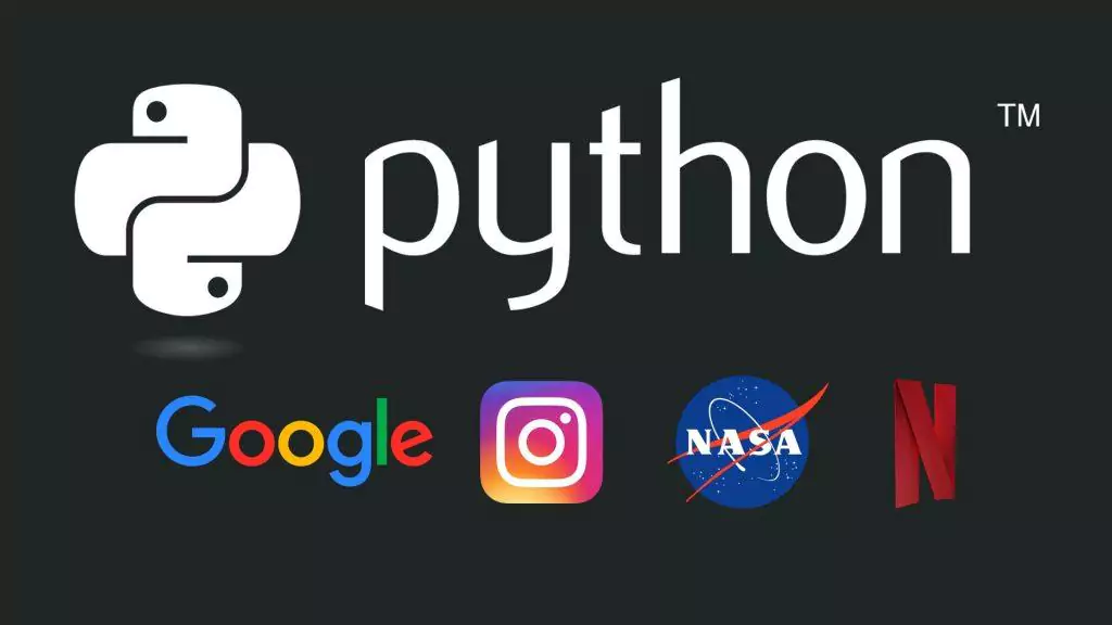 Designveloper's Recommendation: Companies that Use Python