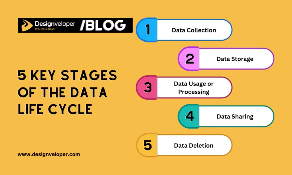 5 Key Stages of the Data Life Cycle