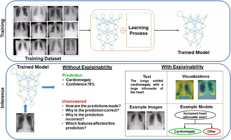 Early Disease Detection and Diagnosis