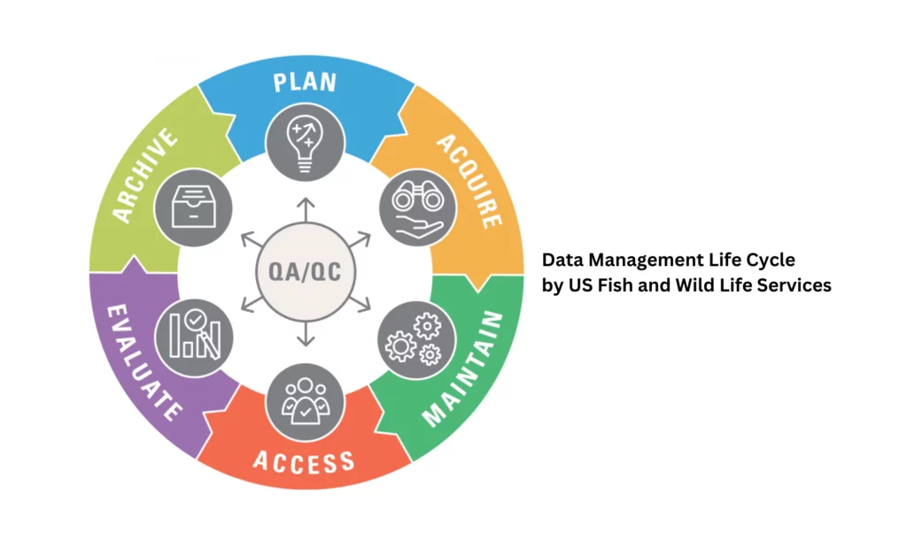 Data Management Life Cycle by the US Fish and Wildlife Services