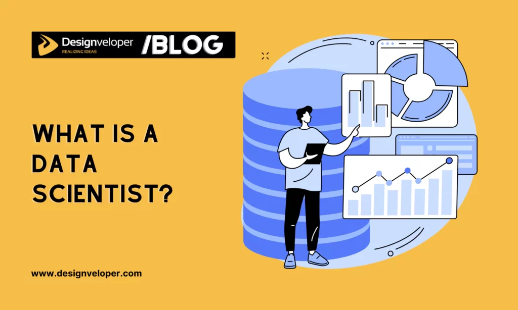 What is a Data Scientist?